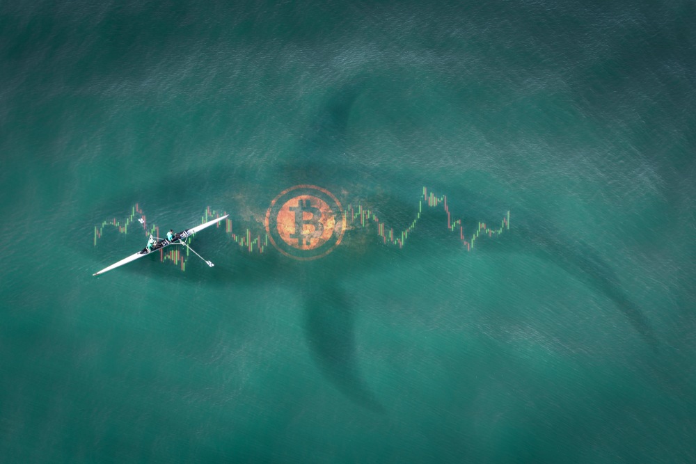 Whales: The Big Fish in The Cryptocurrency Ocean