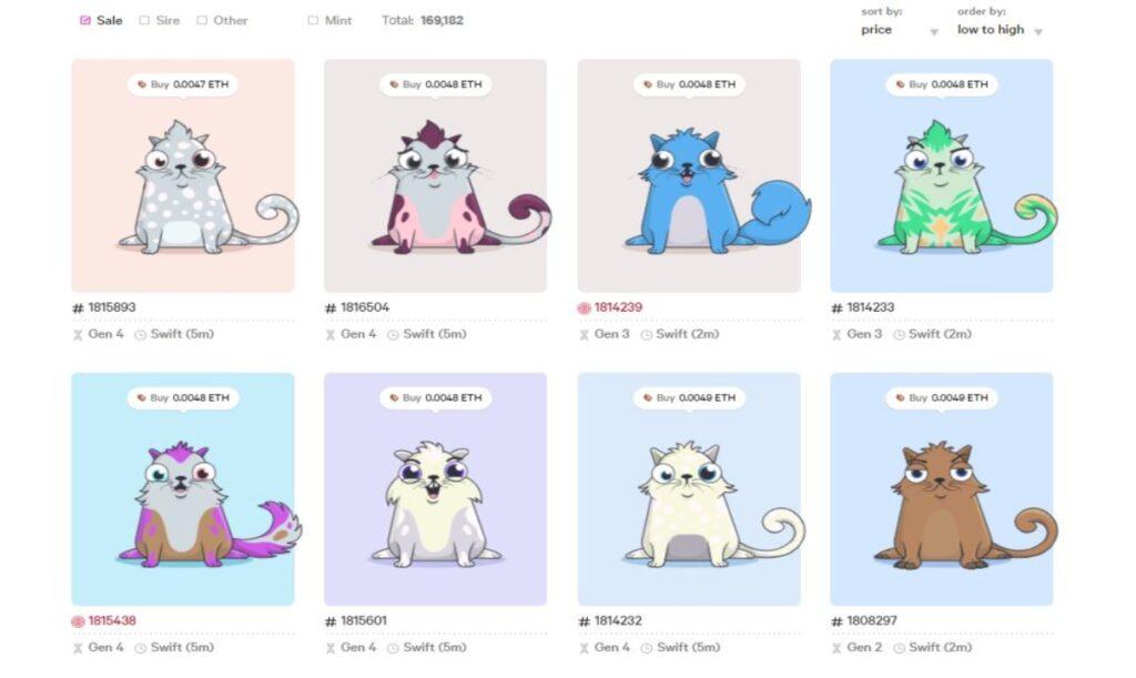 Crypto kitties guide bitcoin trading time zone