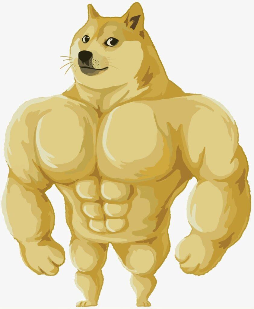 Buff Doge Coin VS Dogecoin, What Are The Differences?